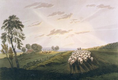 午後、サリーの眺め、風景画と水の色彩の効果に関する論文からのイラスト、1841年（手塗りのアクアチント） 作： David after Cox