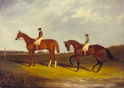 J.デイと一緒に「エリス」、J。ロビンソンと一緒に「ベイミドルトン」 作： David of York Dalby