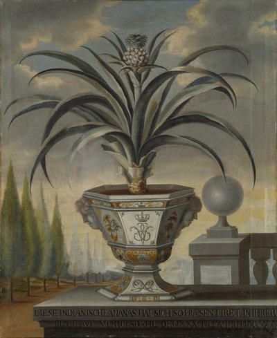 パイナップル工場、1729 作： David von Coln