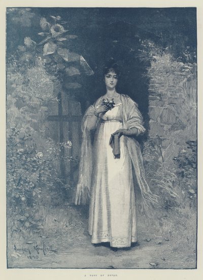 デボンの薔薇 作： Davidson Knowles