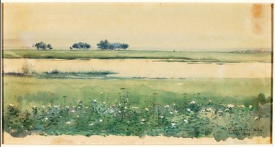 (湿地のある風景） 作： De Lancey Gill