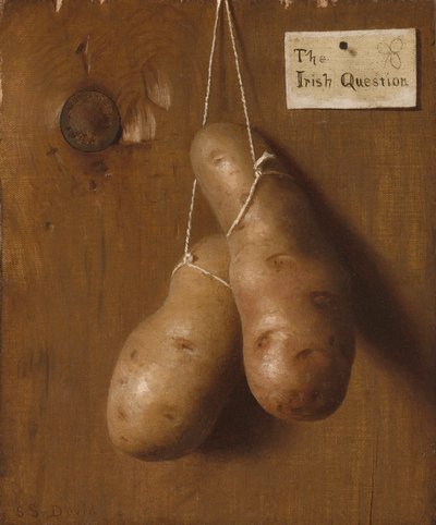 アイルランドの質問、1880 年代。 作： De Scott Evans