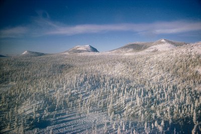 雪に覆われた湿原と森林に覆われた冬のシベリア

 作： Dean Conger