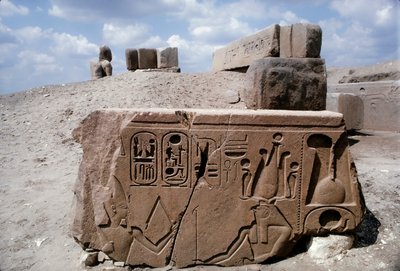 エジプト、古代都市タニスの石造遺跡に描かれたヒエログリフの絵 作： ディーン・コンガー