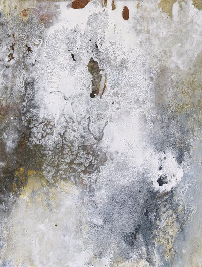 経年変化の風合いを帯びたキャンバス 作： Deb Chaney