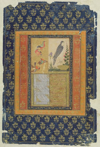 鳥の研究と書道、ゴルコンダ、アーンドラプラデーシュ州、1570年（装飾が施されたボーダー付きの紙にグワッシュ、インク、金） 作： Deccani School