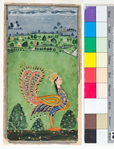 女性の頭を持つ神話上の孔雀、c.1750（不透明w - c、紙に金） 作： Deccani School