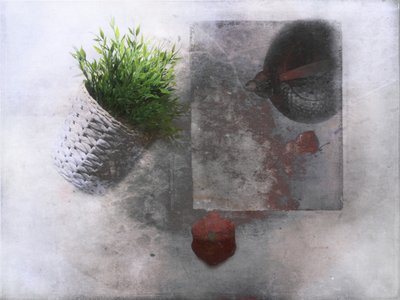  作： Delphine Devos