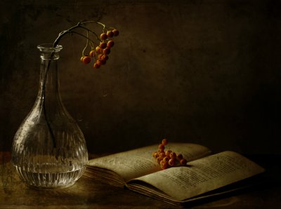  作： Delphine Devos