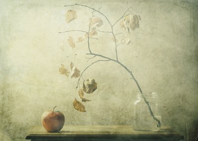  作： Delphine Devos