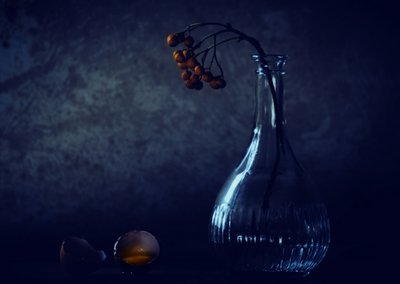  作： Delphine Devos