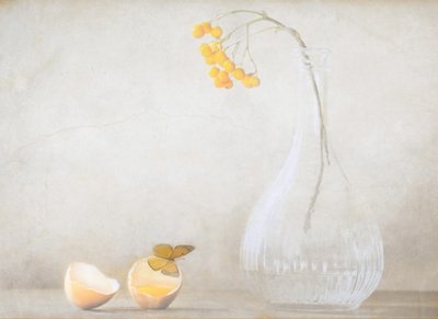  作： Delphine Devos