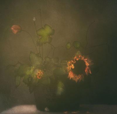  作： Delphine Devos