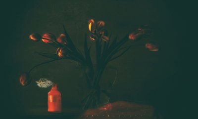  作： Delphine Devos