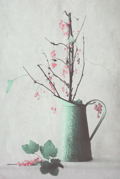 繊細なベリーの静物画 作： Delphine Devos