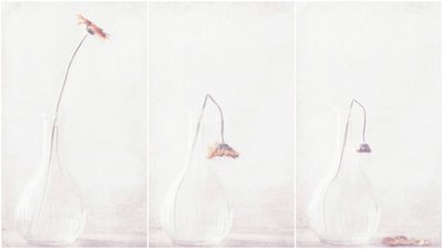  作： Delphine Devos