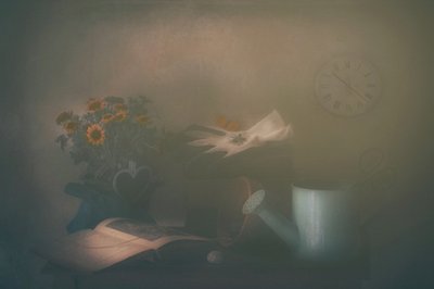  作： Delphine Devos