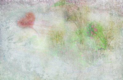  作： Delphine Devos