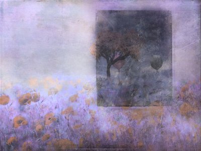  作： Delphine Devos