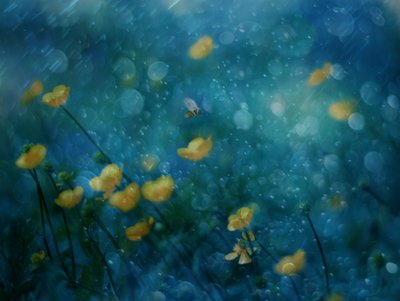  作： Delphine Devos