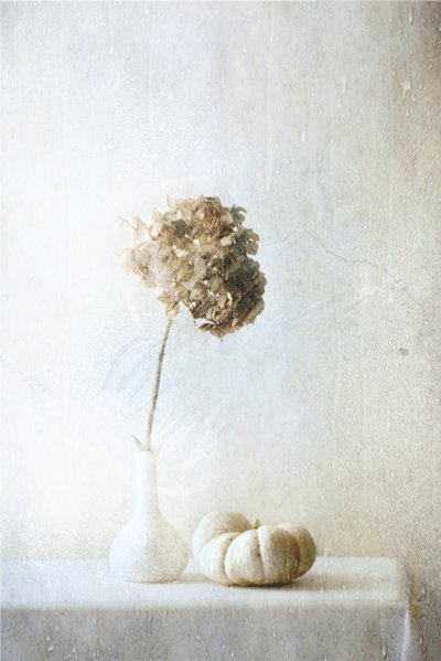  作： 