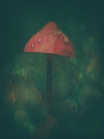  作： Delphine Devos