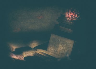  作： Delphine Devos