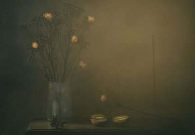  作： Delphine Devos