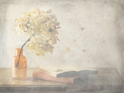  作： Delphine Devos