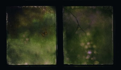  作： Delphine Devos
