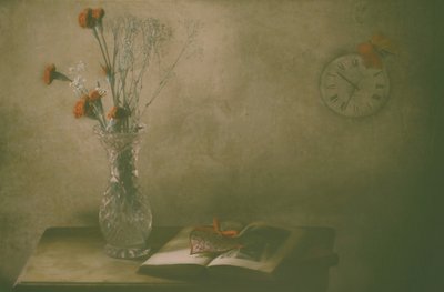  作： Delphine Devos