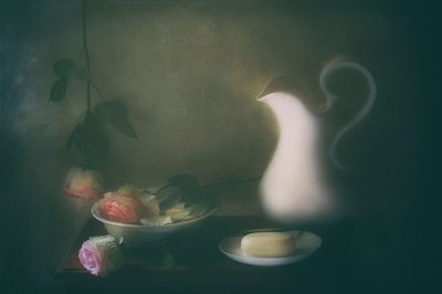  作： Delphine Devos