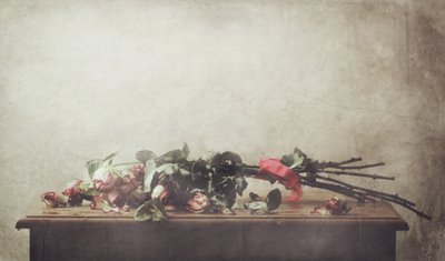  作： Delphine Devos