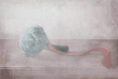  作： Delphine Devos