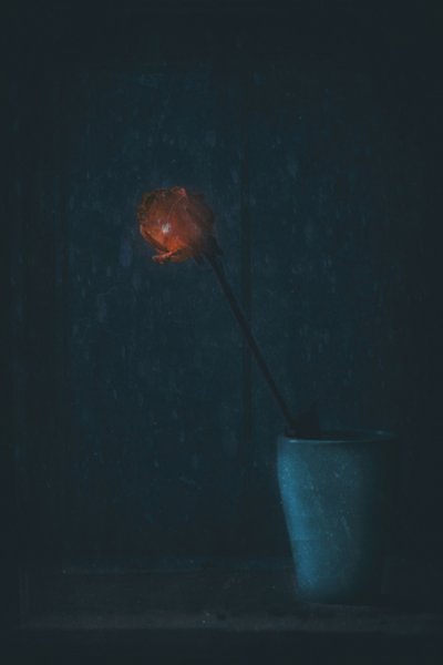  作： Delphine Devos