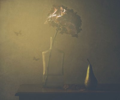  作： Delphine Devos