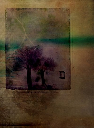  作： Delphine Devos