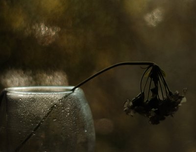  作： Delphine Devos