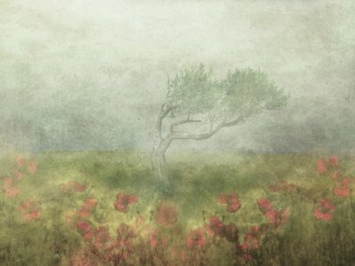  作： Delphine Devos