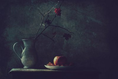 作： Delphine Devos