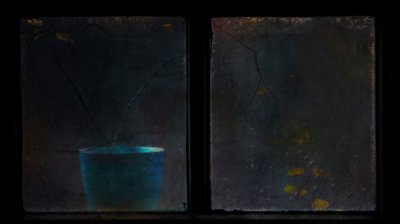  作： Delphine Devos