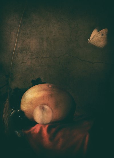  作： Delphine Devos