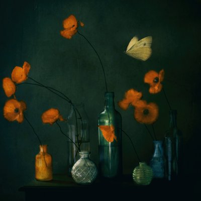  作： Delphine Devos