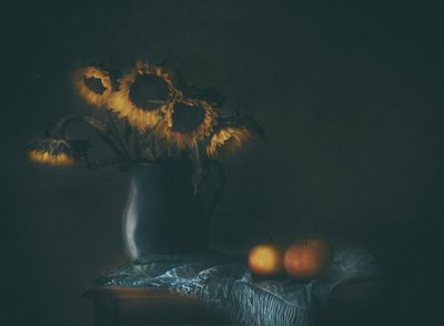  作： Delphine Devos