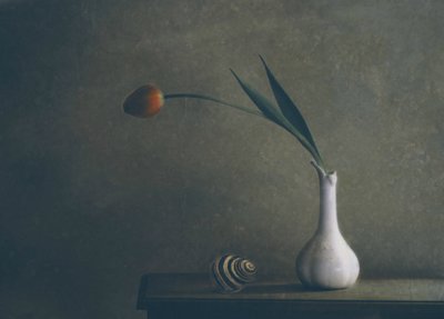  作： Delphine Devos