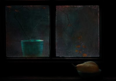 作： Delphine Devos