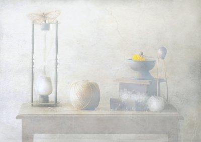  作： Delphine Devos