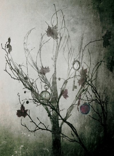 謎めいた「時の木」 作： Delphine Devos