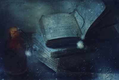  作： Delphine Devos