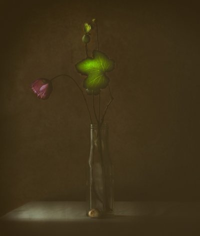  作： Delphine Devos